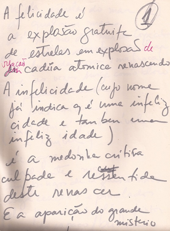 A felicidade é a explosão gratuita